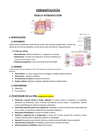 Dermatologia-terminado.pdf