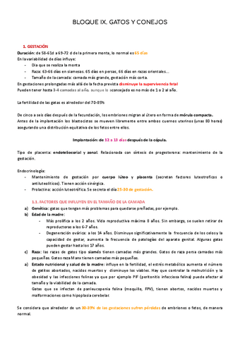 BLOQUE-GATOS-Y-CONEJOS-T39-44.pdf