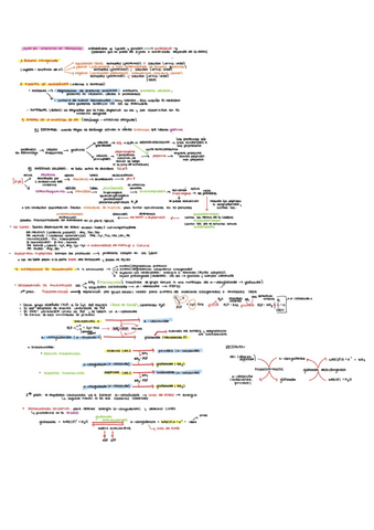 APUNTES-TODO-NUCLEOTIDOS.pdf
