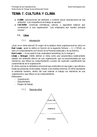 TEMA-7-PSICOLOGIA-DE-LAS-ORGANIZACIONES.pdf