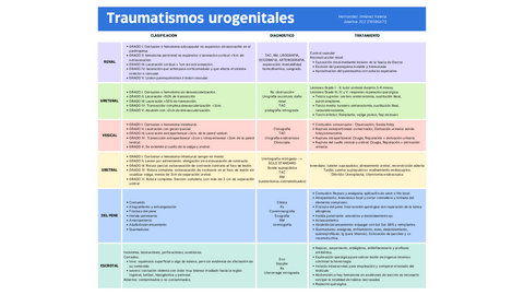 Trauma-Urogenital.pdf