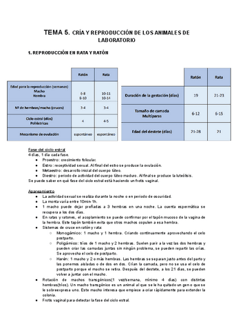 TEMA-5.pdf