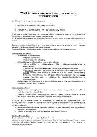 TEMA-6.pdf