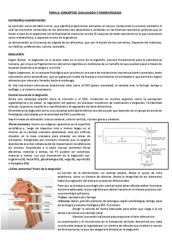 TEMA-2-TR-NEURO.pdf