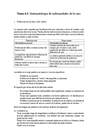 Tema-6.3Enfermedades.pdf