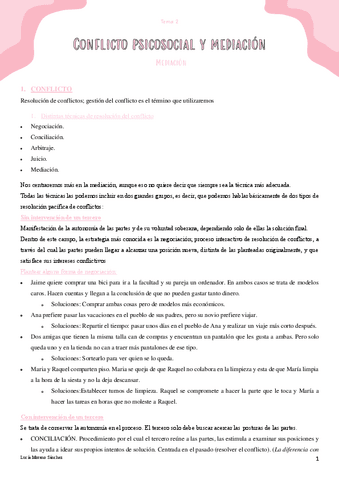 TEMA-2-CONFLICTO.pdf