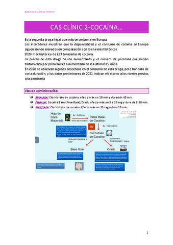 Caso-2-cocaina.pdf