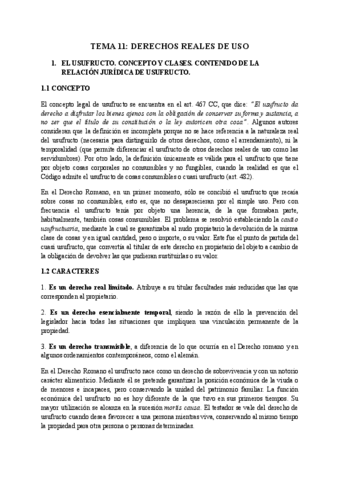 TEMA-11.pdf