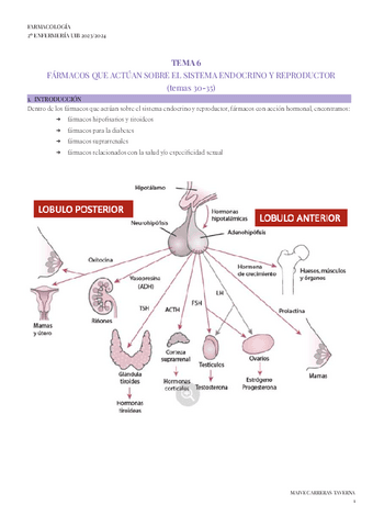 TEMA-6-FARMA.pdf