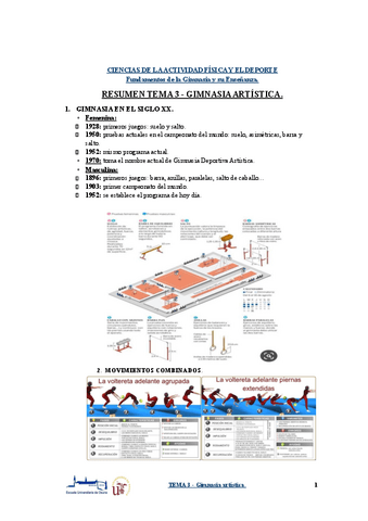 RESUMEN-TEMA-3-Gimnasia-artistica.pptx.pdf