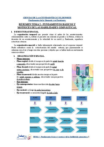 RESUMEN-TEMA-2-Fundamentos-basicos-y-motrices-de-las-habilidades-gimnasticas.pptx.pdf