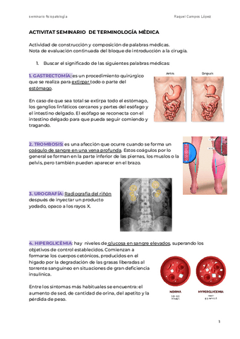 seminario-2-cirujia.pdf