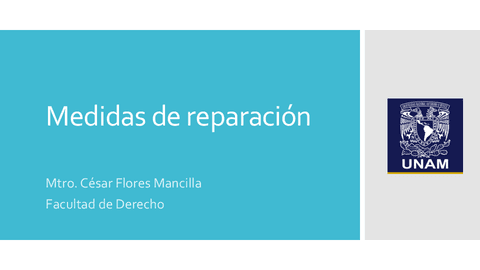 6.-Medidas-de-reparacion.pdf