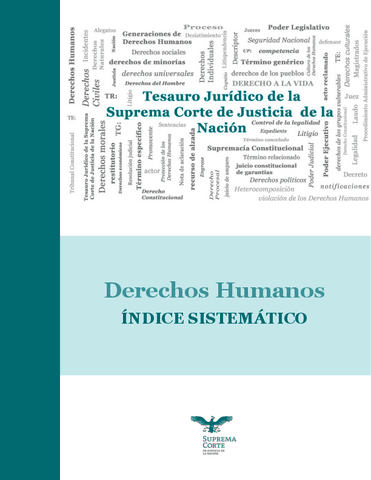 9.-Tesauro-DDHH.pdf