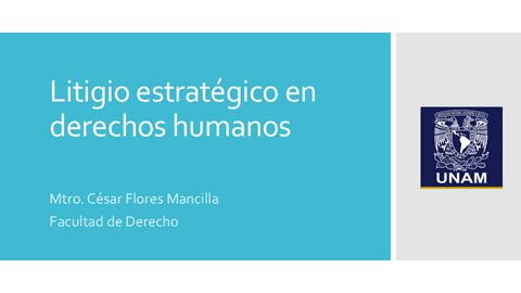 8.a-Litigio-estrategico.pdf