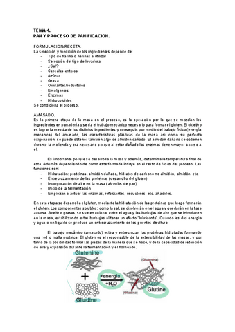 TEMA-4.-pan-y-proceso-de-panificacion.pdf