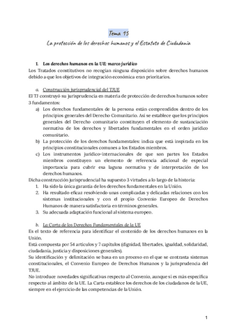 Tema-15-Derecho-Europeo.pdf
