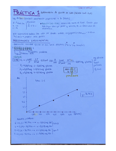 RESUMEN-PRACTICAS.pdf