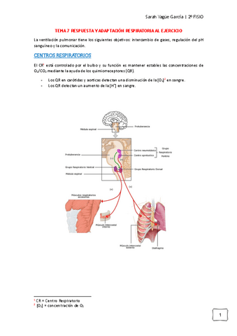 Tema-7-Respuesta-y-Adaptacion-Respiratoria-al-Ejercicio-Sarah-Yague.pdf
