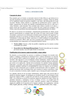 Tema 1. Introducción VSM.pdf