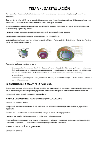 TEMA-4.-GASTRULACION.pdf