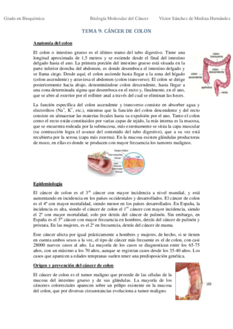 Tema 9. Cáncer de colon VSM.pdf