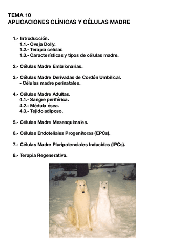 Tema-10-CULT.pdf