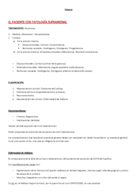 TEMA 6.pdf