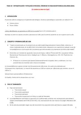 TEMA 19.pdf
