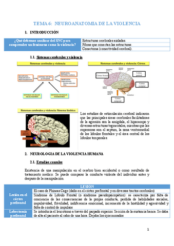 tema-6-psicobiologia.pdf