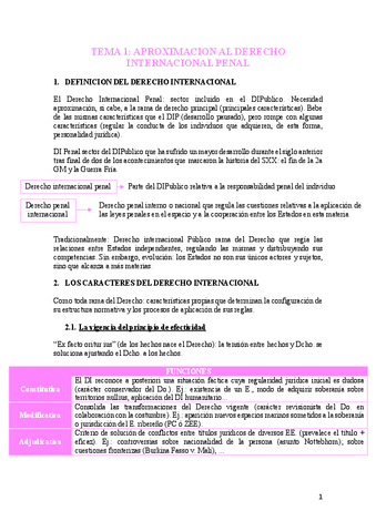 tema-1-derecho-internacional-penal.pdf