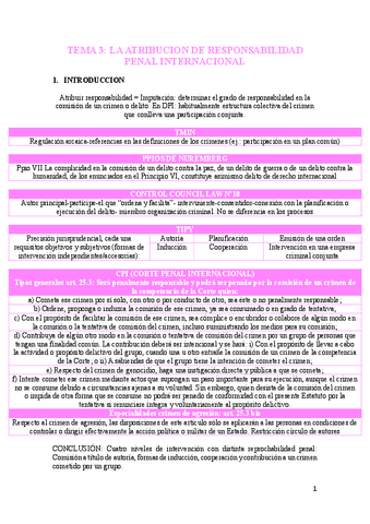 tema-3-derecho-internacional-penal.pdf