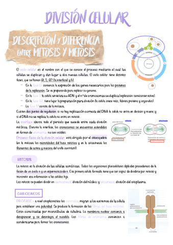 10.-Division-celular.pdf