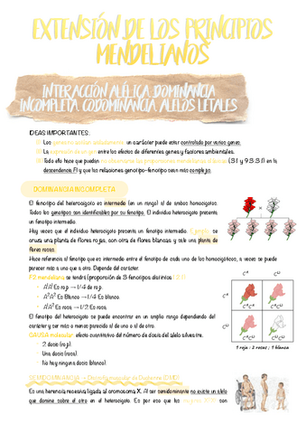 12.-Extension-de-los-principios-mendelianos.pdf