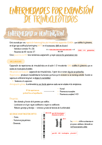 19.-Enfermedades-por-expansion-de-trinucleotidos.pdf