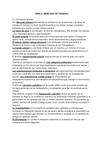 TEMA 6_ MERCADO DE TRABAJO.pdf