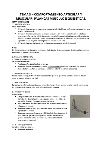 TEMA-3-KINESIOLOGIA.pdf