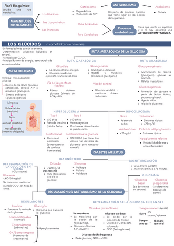 Magnitudes del metabolismo de principios inmediatos.pdf