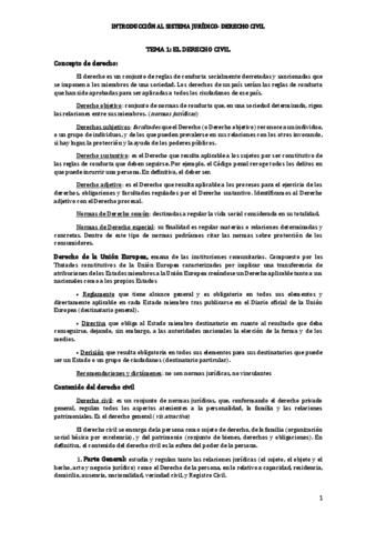 PARTE-CIVIL-TEMAS-1-10.pdf