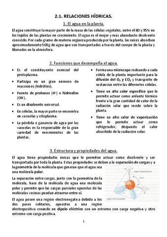 2.1.-Relaciones-hidricas.pdf