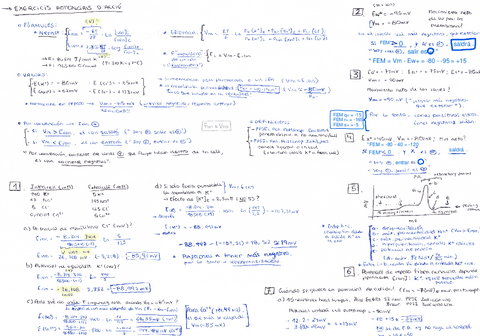 -apunts-importants-per-examen-seminari-01-02-06-07-practiques.pdf