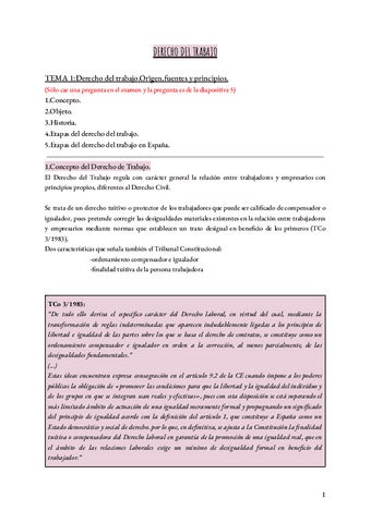 DERECHO-DEL-TRABAJO-I.pdf