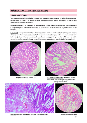7. Digestivo, hepático y renal.pdf