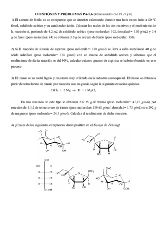 Problemas PL-5y6.pdf