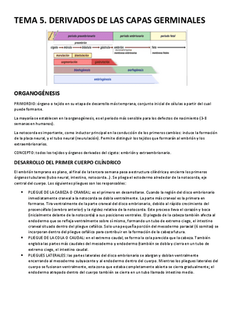 TEMA-5.-DERIVADOS-DE-LAS-CAPAS-GERMINALES.pdf