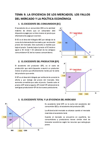 TEMA-9-teoria-economica.pdf