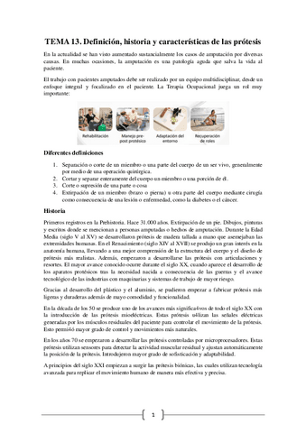 protesis-pa-t13.pdf