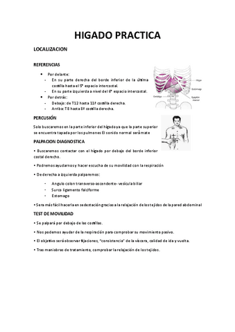 HIGADO-PRACTICA.pdf