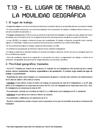 T.13-EL-LUGAR-DE-TRABAJO.-LA-MOVILIDAD-GEOGRAFICA.pdf