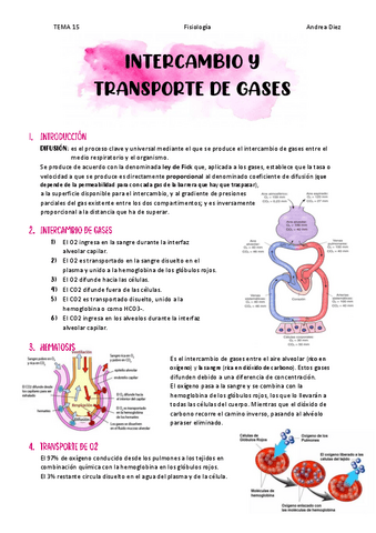 TEMA-15-Intercambio-y-transporte-de-gases.pdf